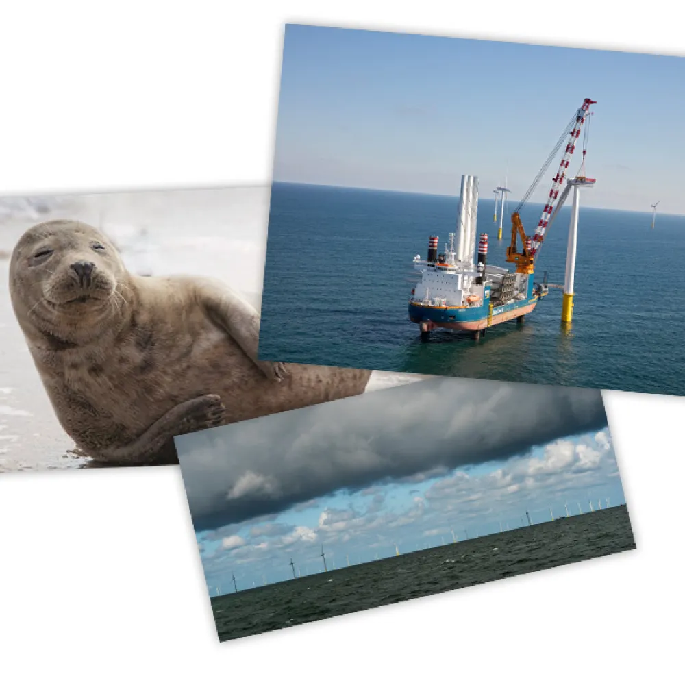 Fotocollage bij spreekbeurtpakket