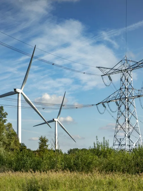 Windturbines en hoogspanningsmasten in groen landschap