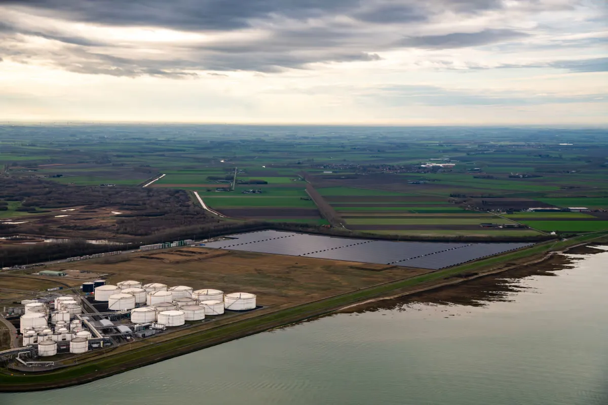 Terneuzen mosselbanken
